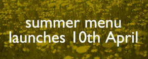 summer button